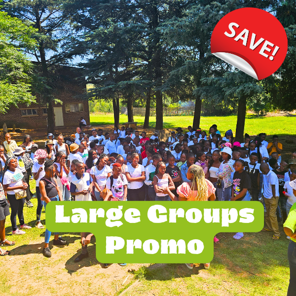 Large Groups Promo Promo