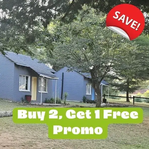 Buy 2 get 1 Promo