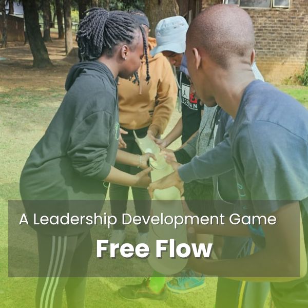 Free Flow Leadership Development Game